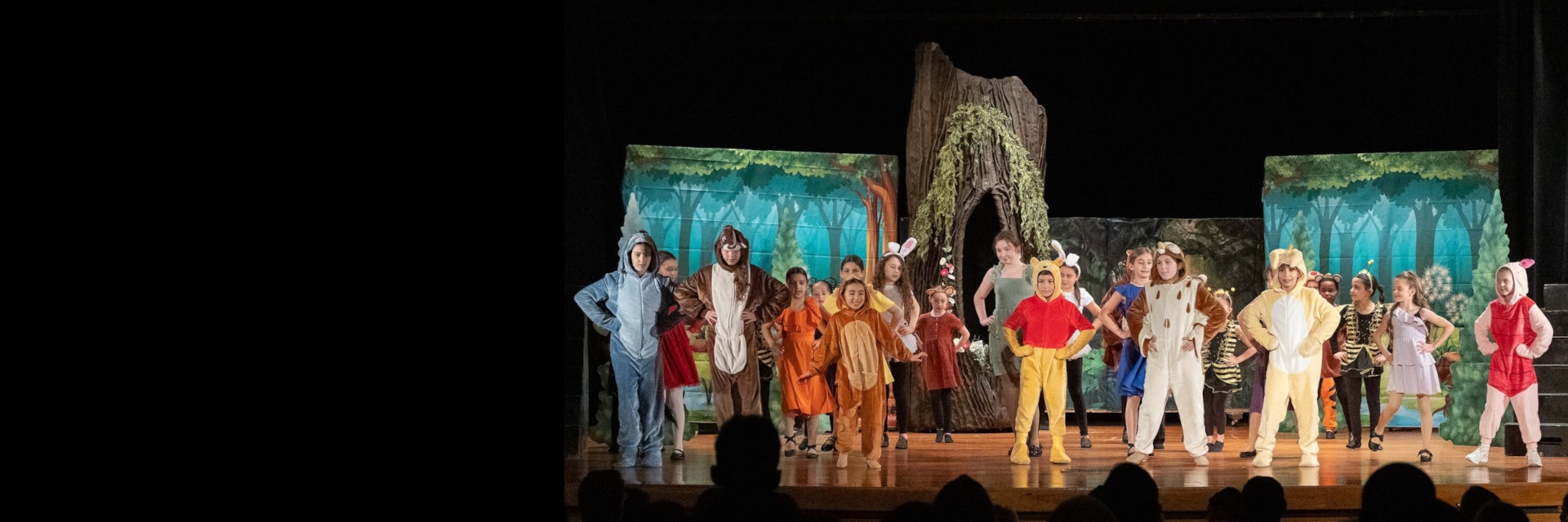 Winnie The Pooh - Sparks (banner)